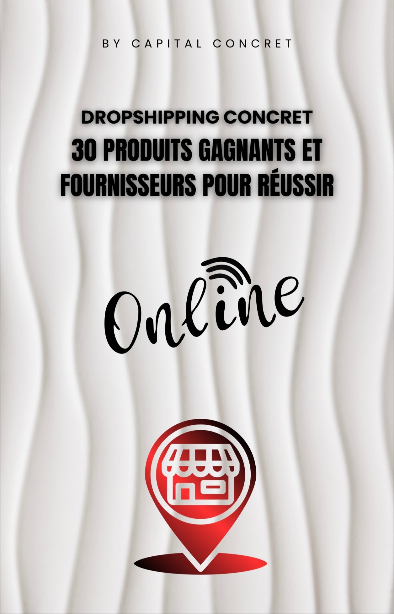 Dropshipping réussir en 2025 !